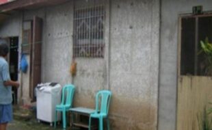 1729334 pic001