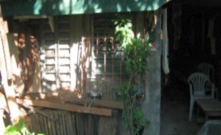 1772749 pic001