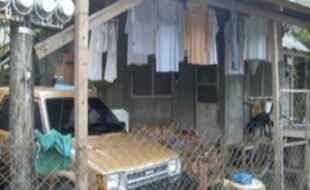 1848713 pic001