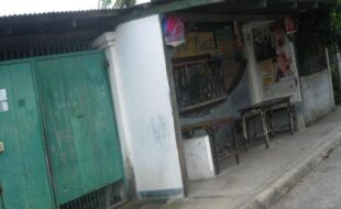 1915345 pic001