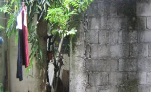 1954123 pic001