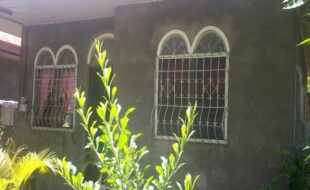 1991576 pic001
