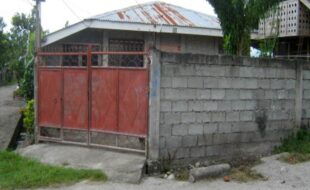 2055208 pic001