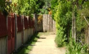 2080798 pic001