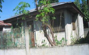 2126524 pic001