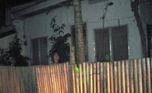 2246941 pic001