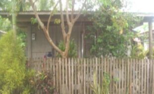 2272266 pic001