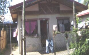 2314709 pic001