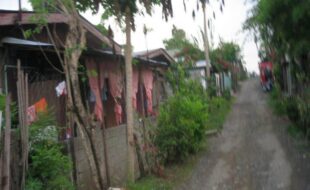 2320487 pic001