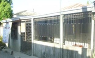 2333553 pic001