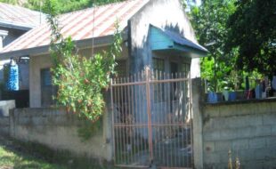 2343529 pic001
