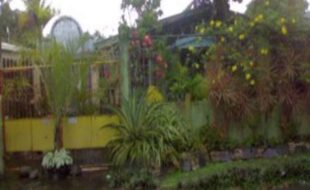2362287 pic001