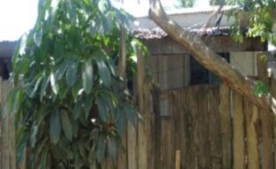 2364063 pic001