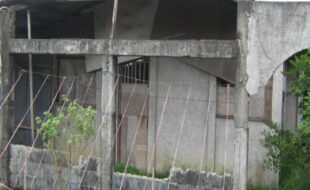 2371285 pic001