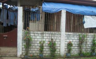 2404665 pic001