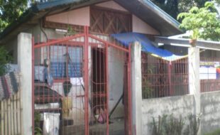 2412016 pic001