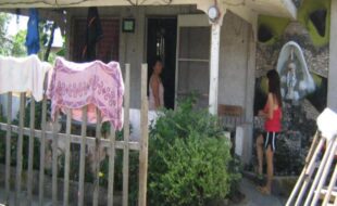 2425597 pic001