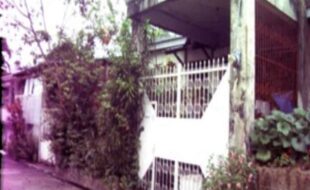 2517957 pic001