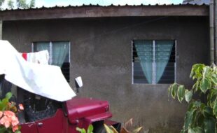 2569191 pic001