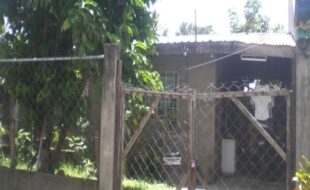 2569779 pic001