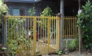 2569793 pic001