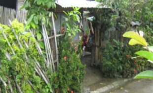 2591714 pic001