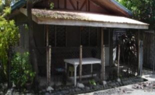 2655335 pic001