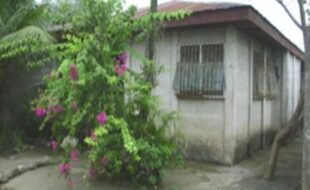 2666782 pic001