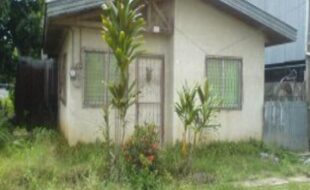 2701121 pic001