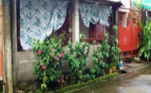 Foreclosed Properties Philippines Database 2 2714394 pic001