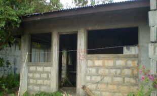 2970073 pic001