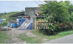 Foreclosed Properties Philippines Database 20 sss lot 42 block 18 steeltown subd brgy. sta. elena