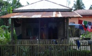 0604704 pic001