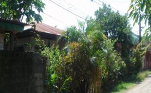 0855531 pic001