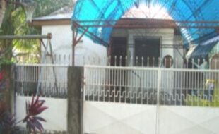 0871174 pic001