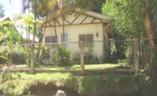 0885311 pic001