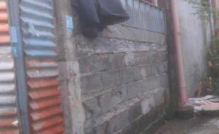 0885906 pic001