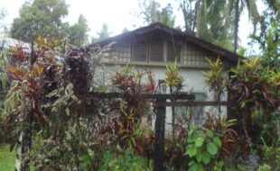 1146379 pic001