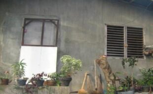 1152695 pic001