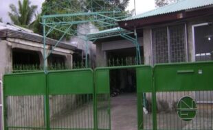 1296734 pic001