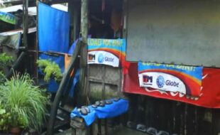1299193 pic001