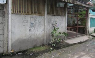1514707 pic001