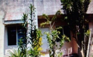 1517893 pic001