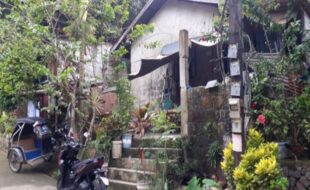 1524173 pic001