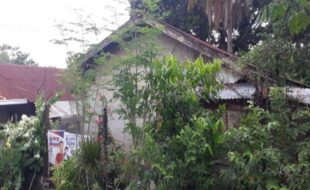 1543011 pic001