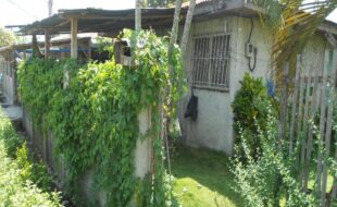 1547562 pic001