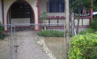 1585105 pic001