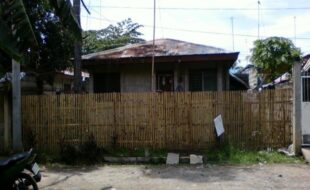 1711491 pic001