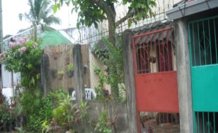 1765795 pic001