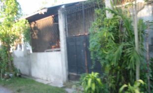 1777017 pic001